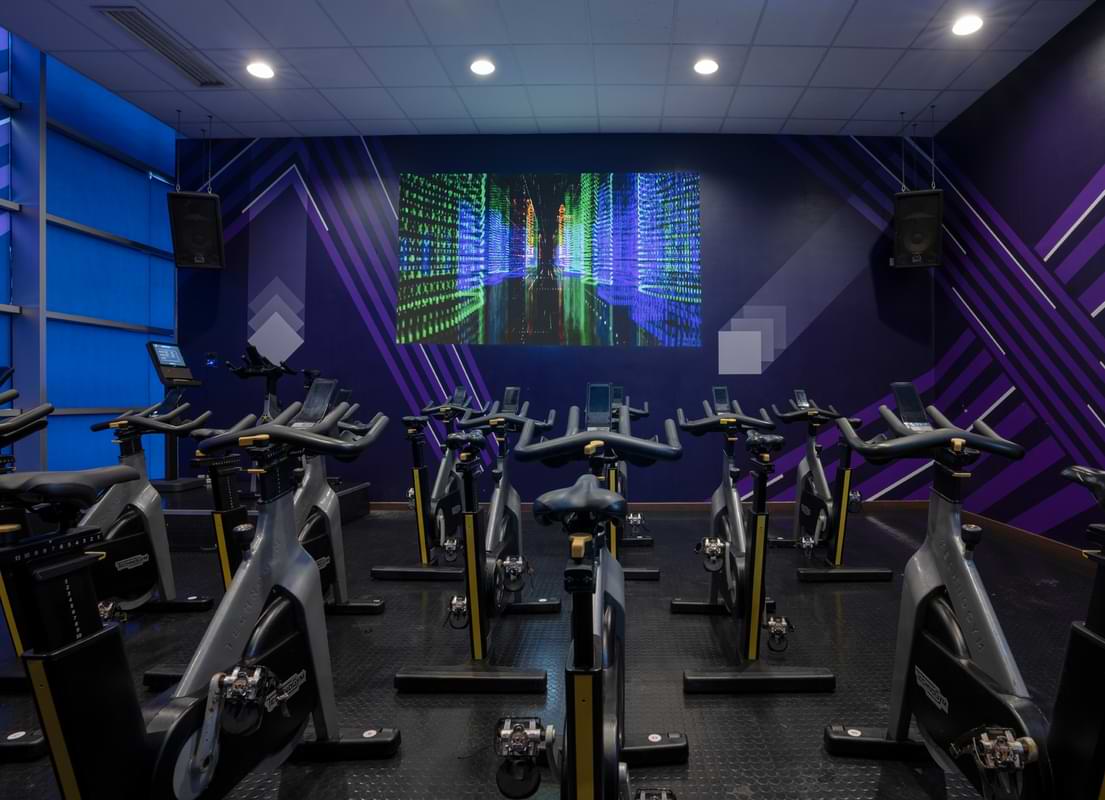 Studio Cycle