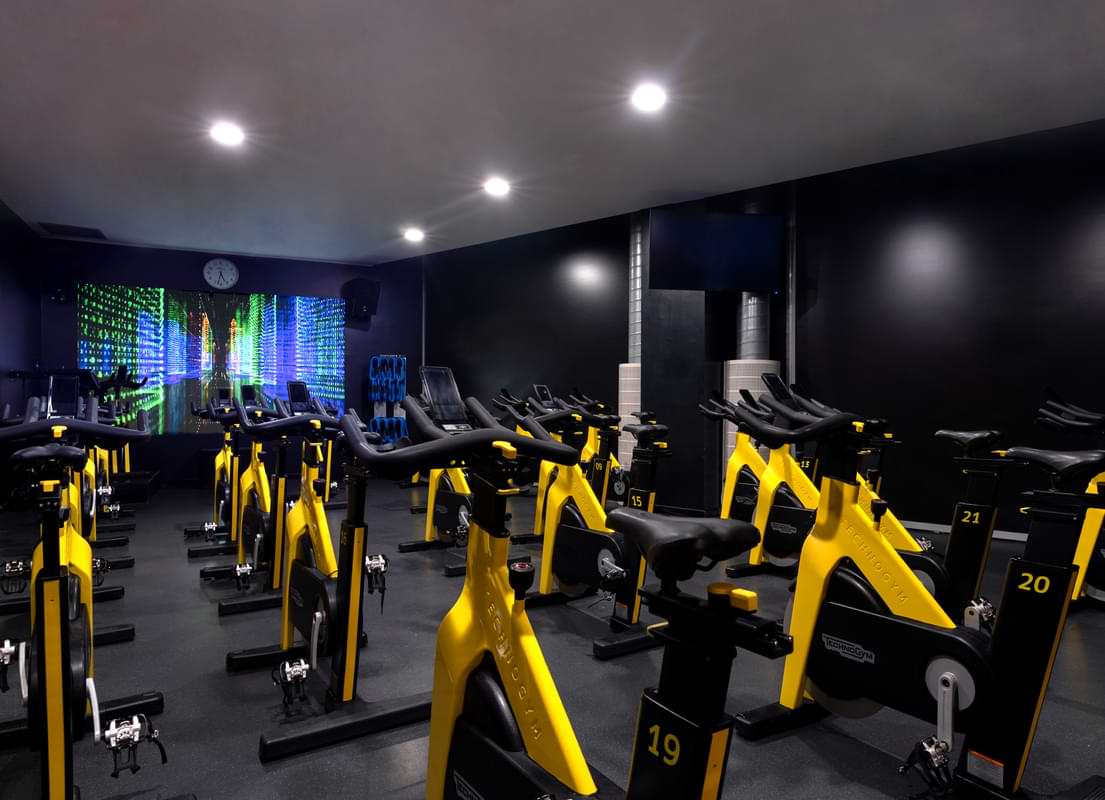 Studio Cycle