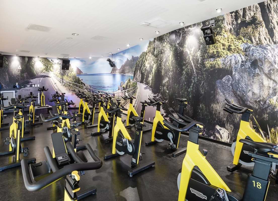 Studio Cycle
