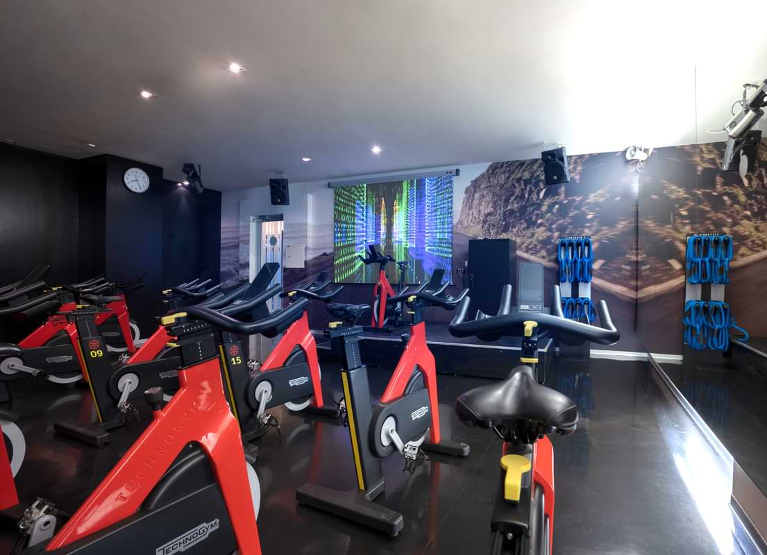 Studio Cycle