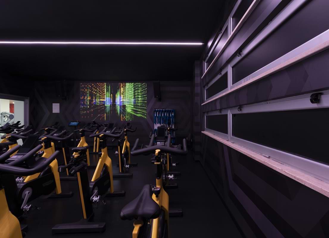 Studio Cycle