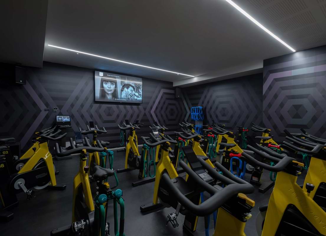 Studio Cycle