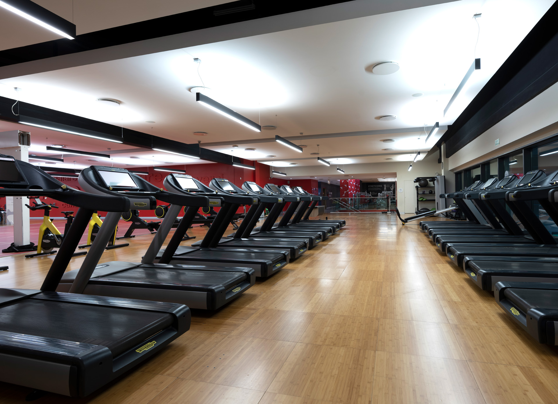 Gym Floor