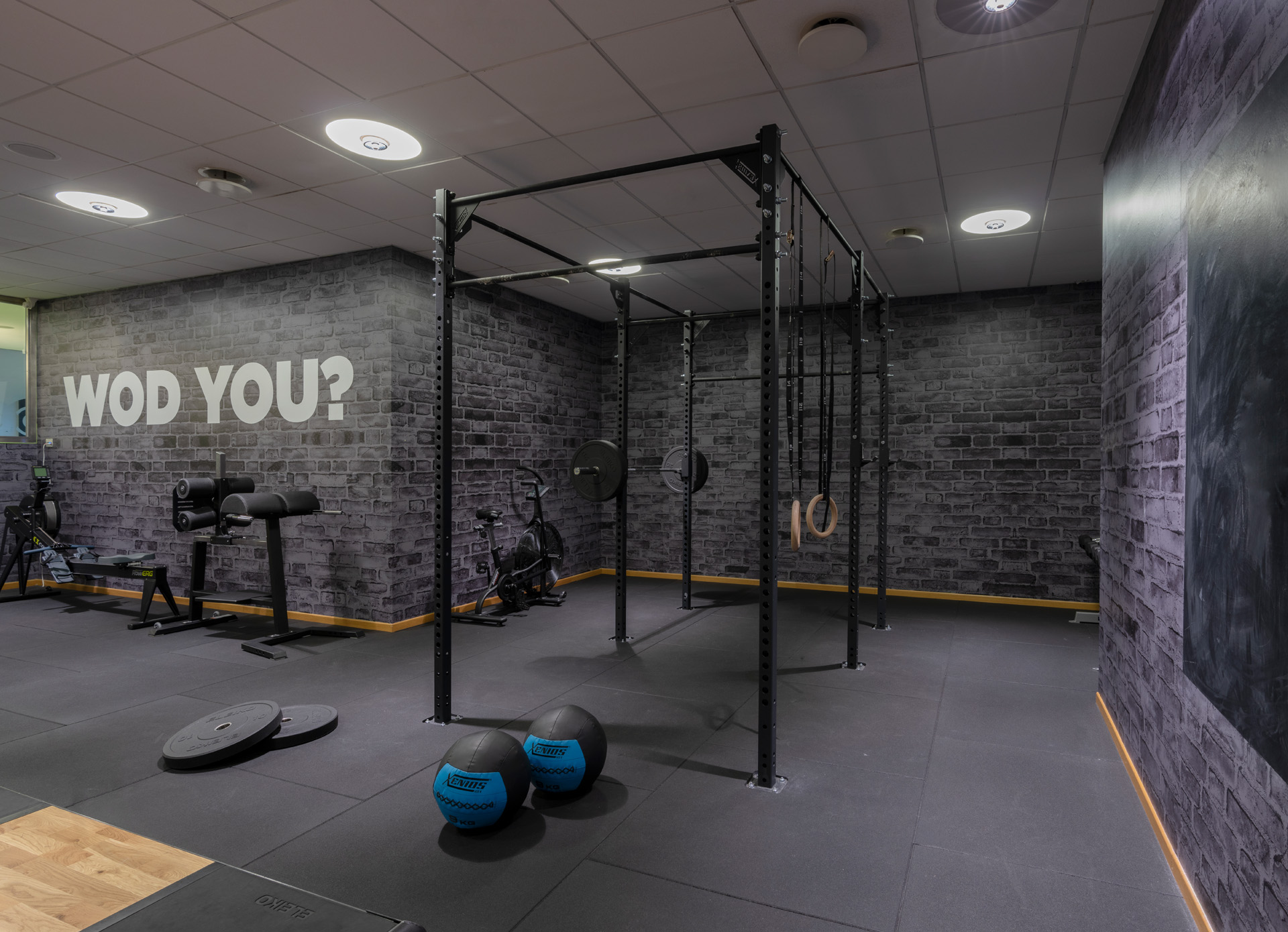Studio<br>Cross Active